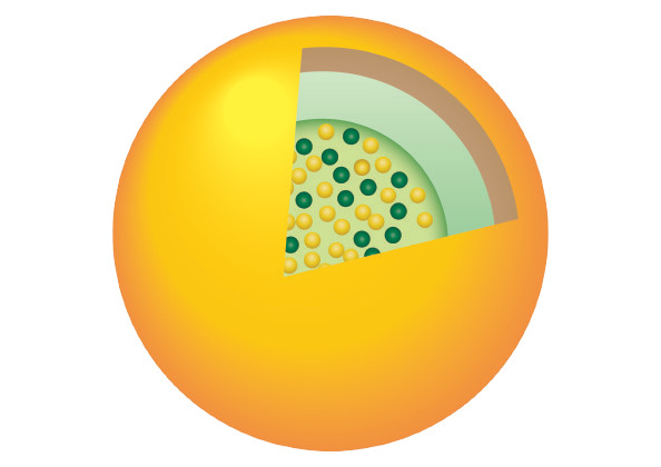 Double Shield Icon