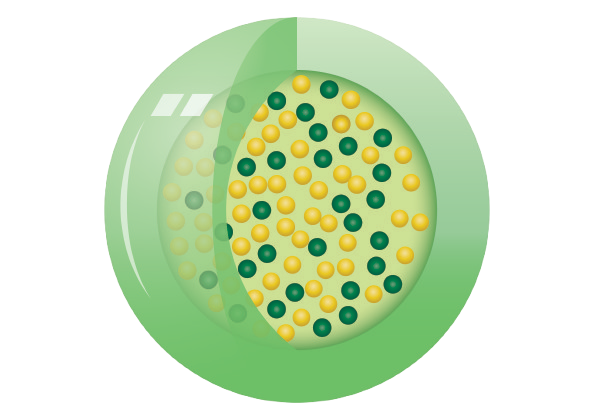 Flavour Shield Icon