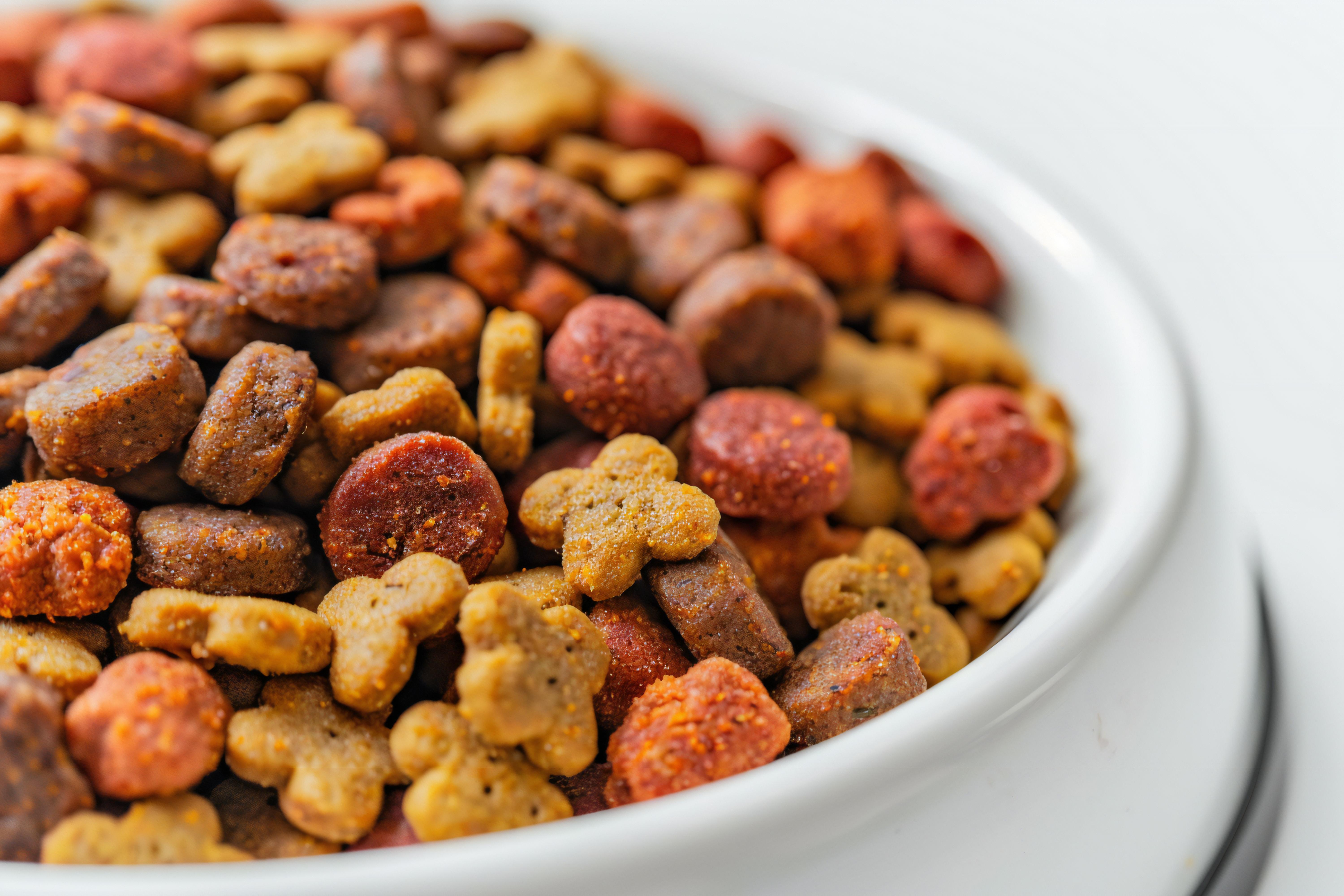 Dry Pet Food